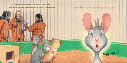Mousetronaut