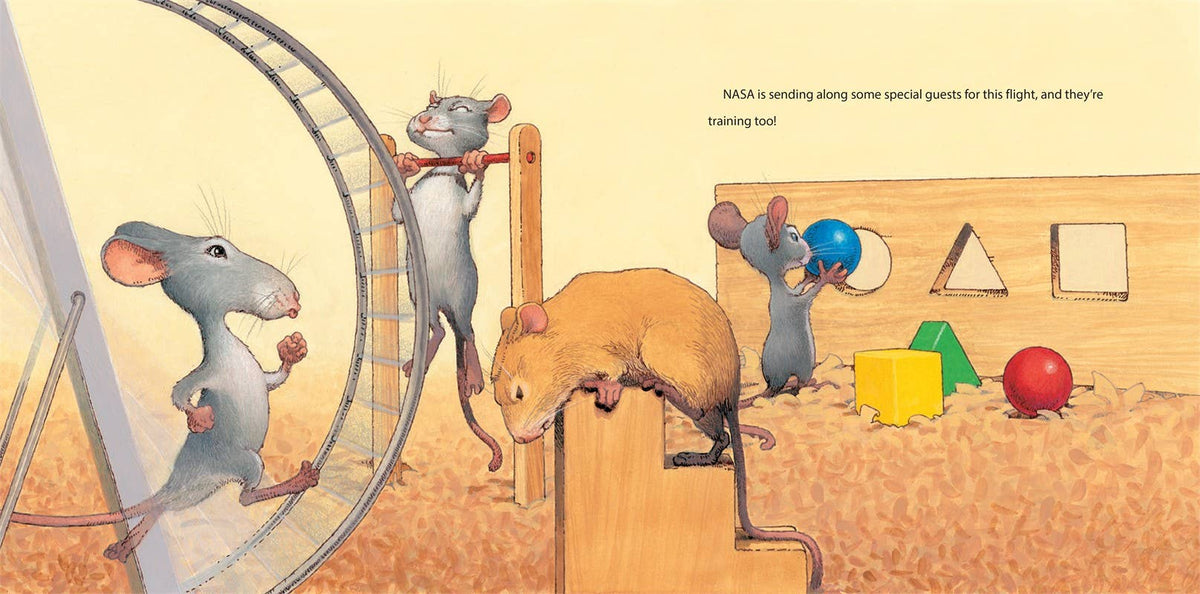 Mousetronaut
