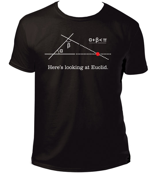 「Here's Looking at Euclid」T 卹（第五公設）