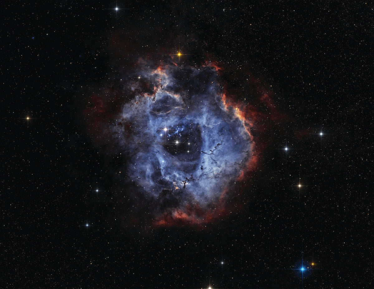 Rosette